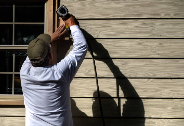 Best Brick Veneer Siding  in Kingsbury, NV