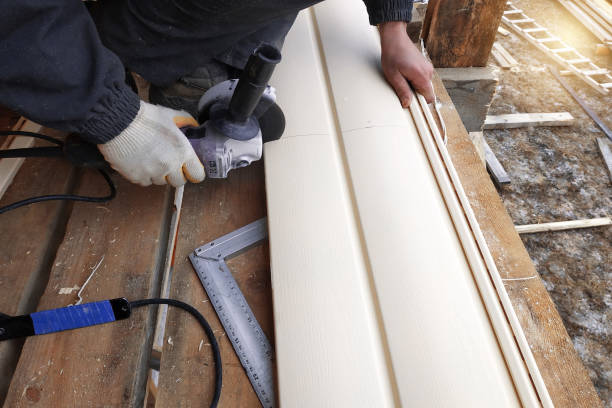 Best Aluminum Siding Installation  in Kingsbury, NV