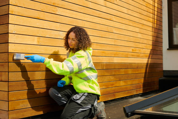 Affordable Siding Repair and Maintenance Services in Kingsbury, NV