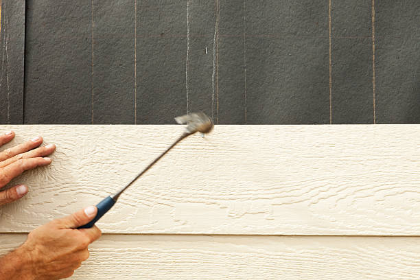 Best Fiber Cement Siding Installation  in Kingsbury, NV